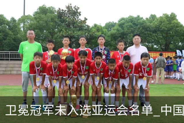 卫冕冠军未入选亚运会名单 中国网协回应
