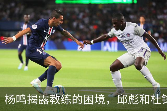 杨鸣揭露教练的困境，邱彪和杜锋的小团队行为是否成为自保策略？